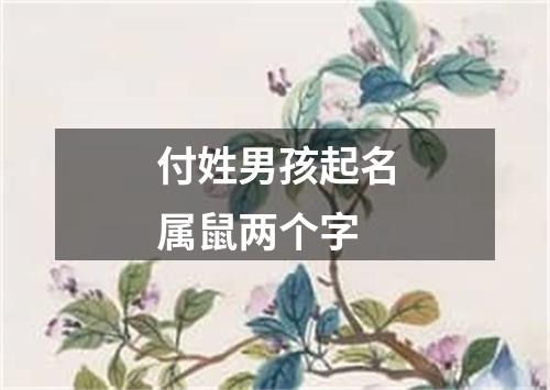 付姓男孩起名属鼠两个字