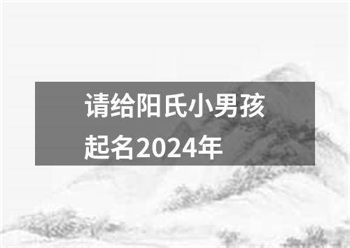 请给阳氏小男孩起名2024年