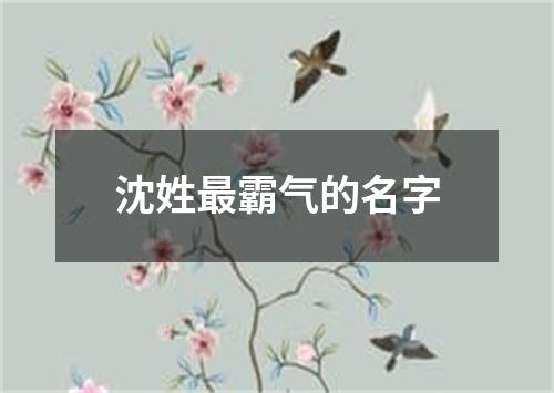 沈姓最霸气的名字