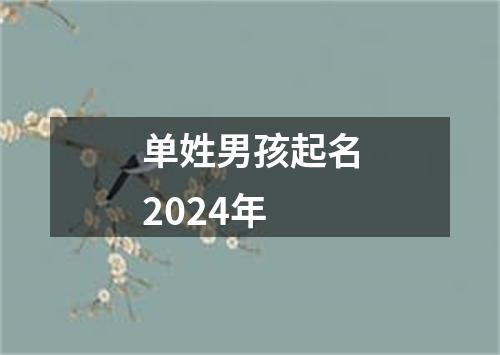 单姓男孩起名2024年