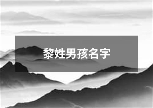 黎姓男孩名字