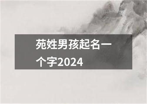 苑姓男孩起名一个字2024