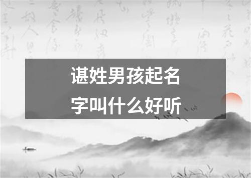 谌姓男孩起名字叫什么好听