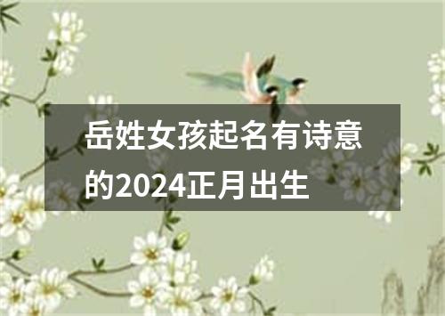 岳姓女孩起名有诗意的2024正月出生