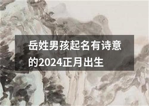 岳姓男孩起名有诗意的2024正月出生