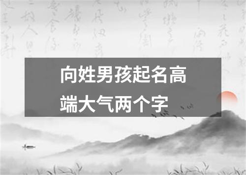 向姓男孩起名高端大气两个字