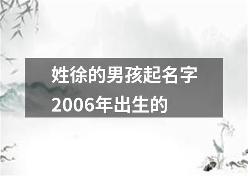 姓徐的男孩起名字2006年出生的