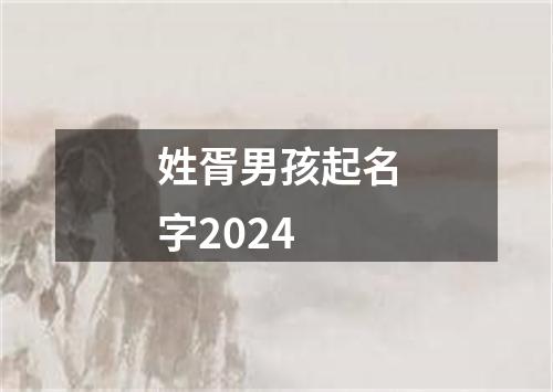 姓胥男孩起名字2024