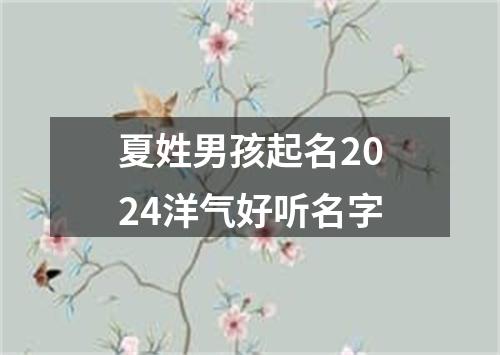 夏姓男孩起名2024洋气好听名字