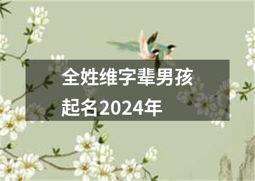 全姓维字辈男孩起名2024年