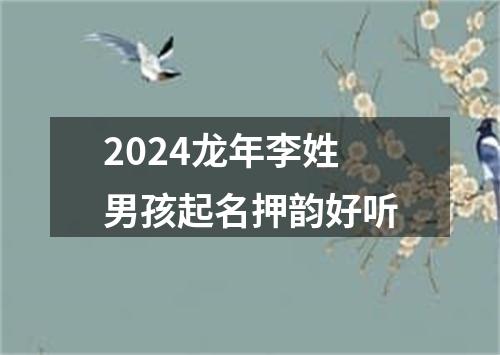 2024龙年李姓男孩起名押韵好听