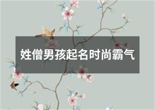 姓僧男孩起名时尚霸气