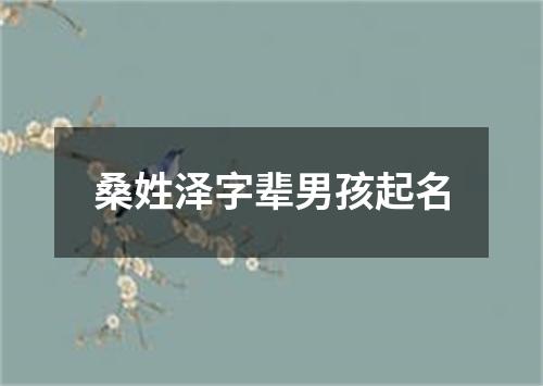 桑姓泽字辈男孩起名