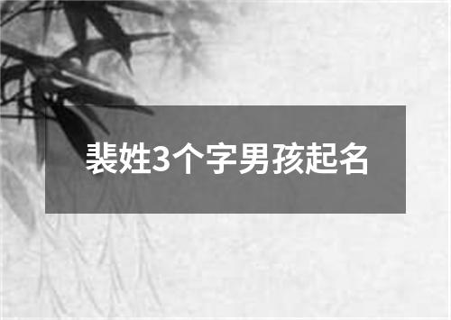 裴姓3个字男孩起名