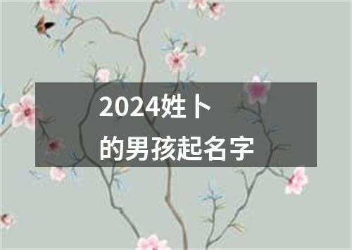 2024姓卜的男孩起名字