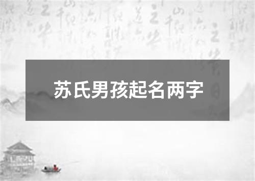 苏氏男孩起名两字