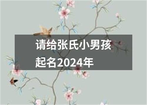 请给张氏小男孩起名2024年