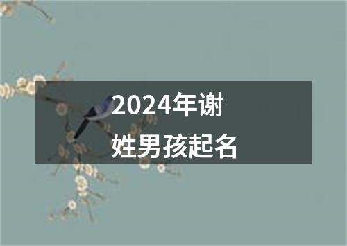 2024年谢姓男孩起名