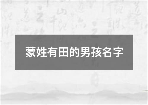 蒙姓有田的男孩名字