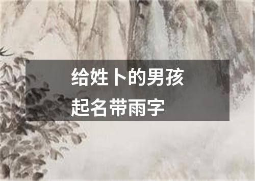 给姓卜的男孩起名带雨字