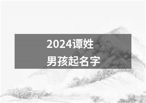 2024谭姓男孩起名字