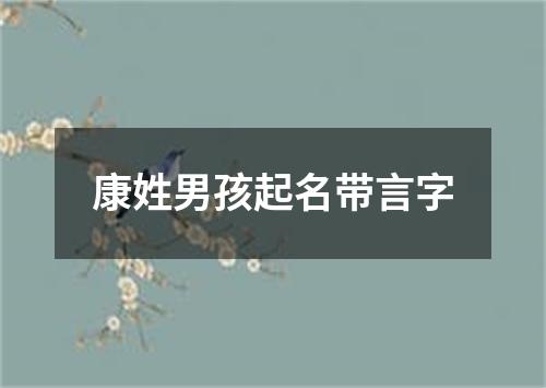 康姓男孩起名带言字