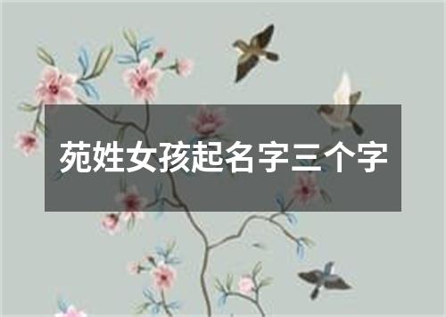 苑姓女孩起名字三个字