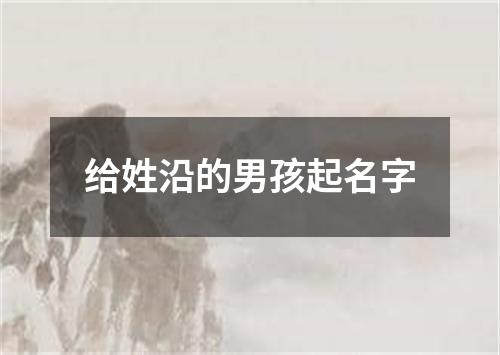 给姓沿的男孩起名字