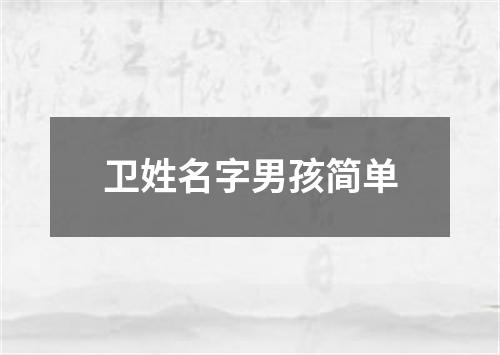 卫姓名字男孩简单