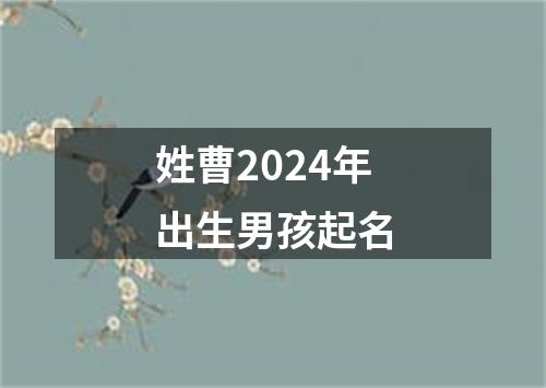 姓曹2024年出生男孩起名