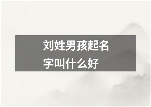 刘姓男孩起名字叫什么好