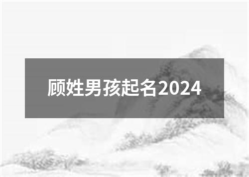 顾姓男孩起名2024