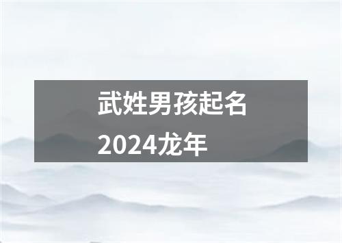 武姓男孩起名2024龙年