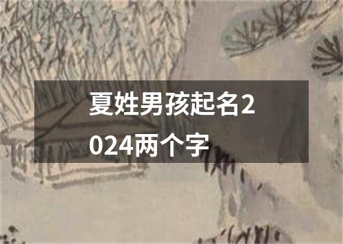 夏姓男孩起名2024两个字