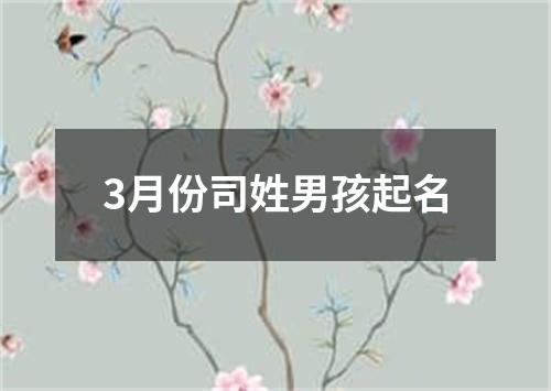 3月份司姓男孩起名