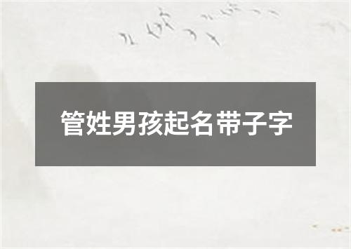 管姓男孩起名带子字