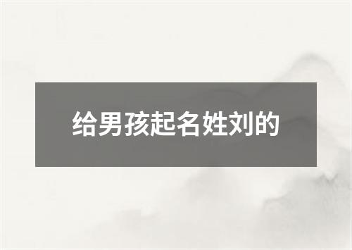 给男孩起名姓刘的