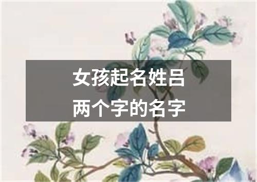 女孩起名姓吕两个字的名字