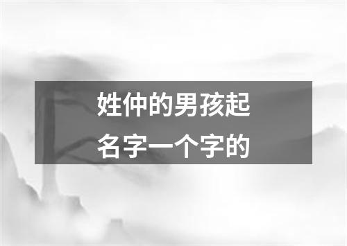 姓仲的男孩起名字一个字的