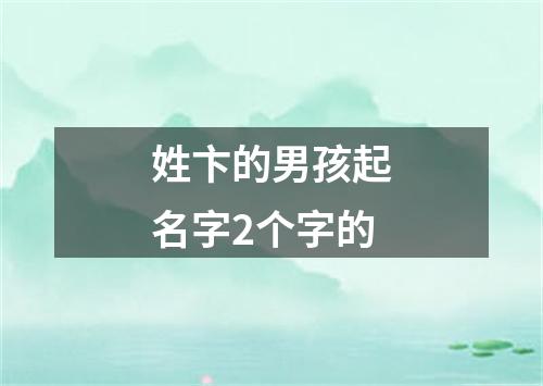 姓卞的男孩起名字2个字的