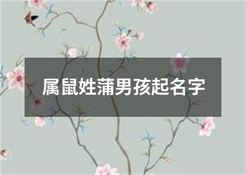 属鼠姓蒲男孩起名字