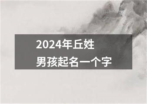 2024年丘姓男孩起名一个字