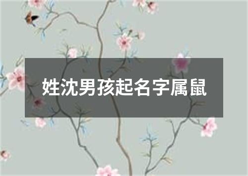 姓沈男孩起名字属鼠