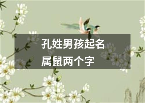 孔姓男孩起名属鼠两个字