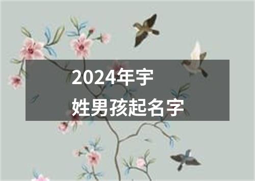 2024年宇姓男孩起名字