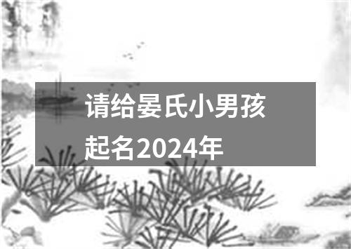 请给晏氏小男孩起名2024年