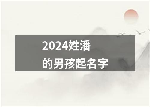 2024姓潘的男孩起名字