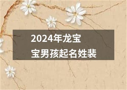 2024年龙宝宝男孩起名姓裴