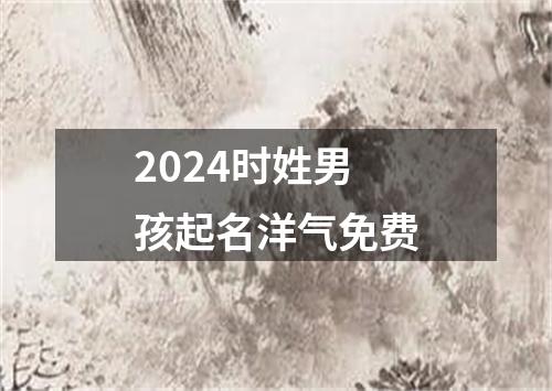 2024时姓男孩起名洋气免费