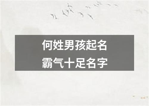 何姓男孩起名霸气十足名字